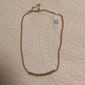 Francesca’s Gold Necklace